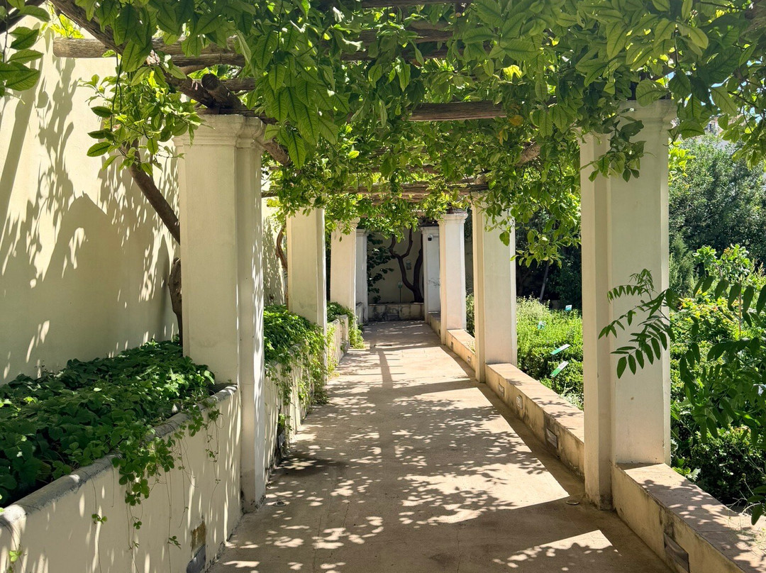 Giardino della Minerva-萨勒诺必去景点