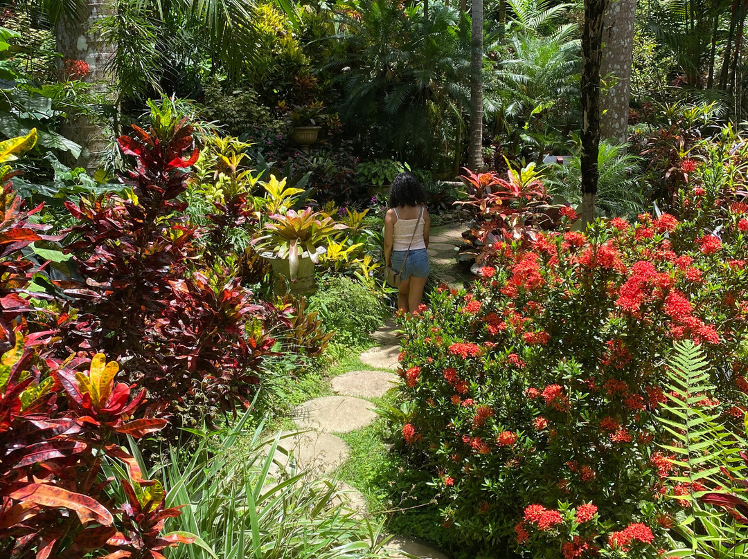 Hunte's Gardens-Saint Joseph Parish必去景点