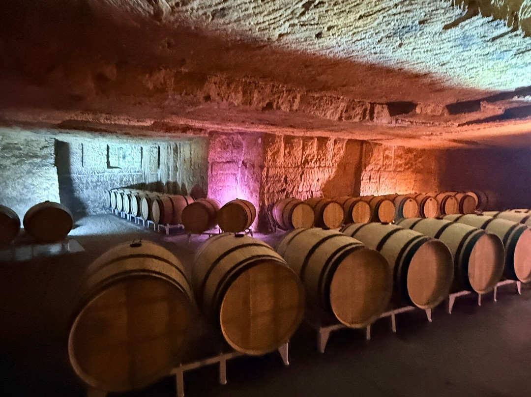 Chateau Franc Mayne-圣埃美隆必去景点