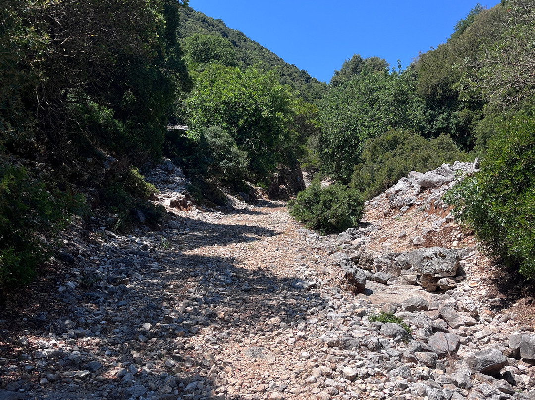 Kefalonia E-Mountain Bike Experience-阿吉亚埃菲米亚必去景点