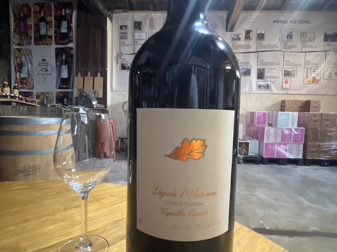Domaine de La Higuere , Vignobles Esquiro-Mirepoix必去景点