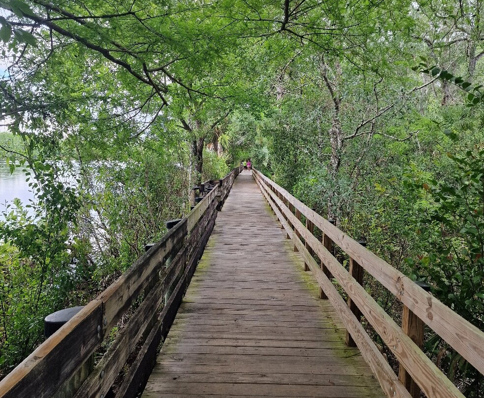 Six Mile Cypress Slough Preserve-迈尔斯堡必去景点
