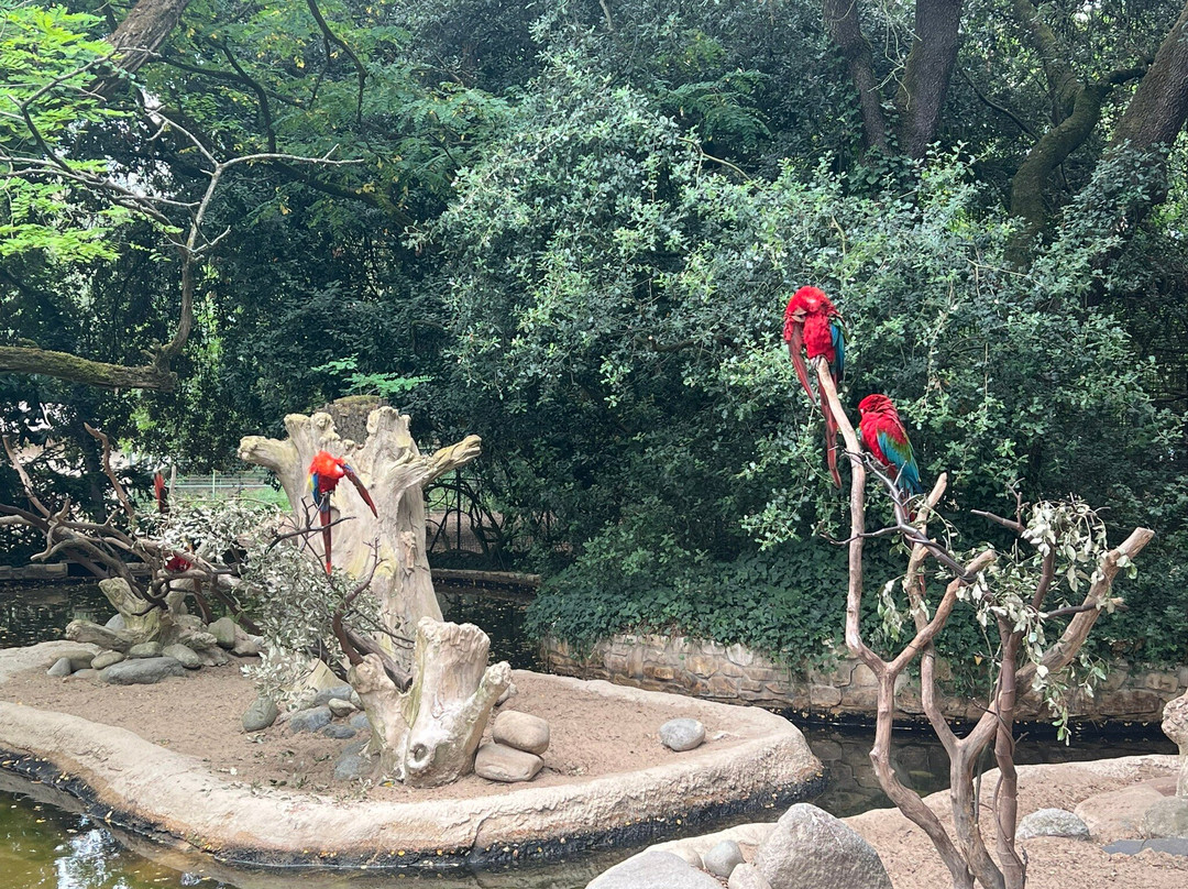 Zoo de La Palmyre-La Palmyre-Les Mathes必去景点