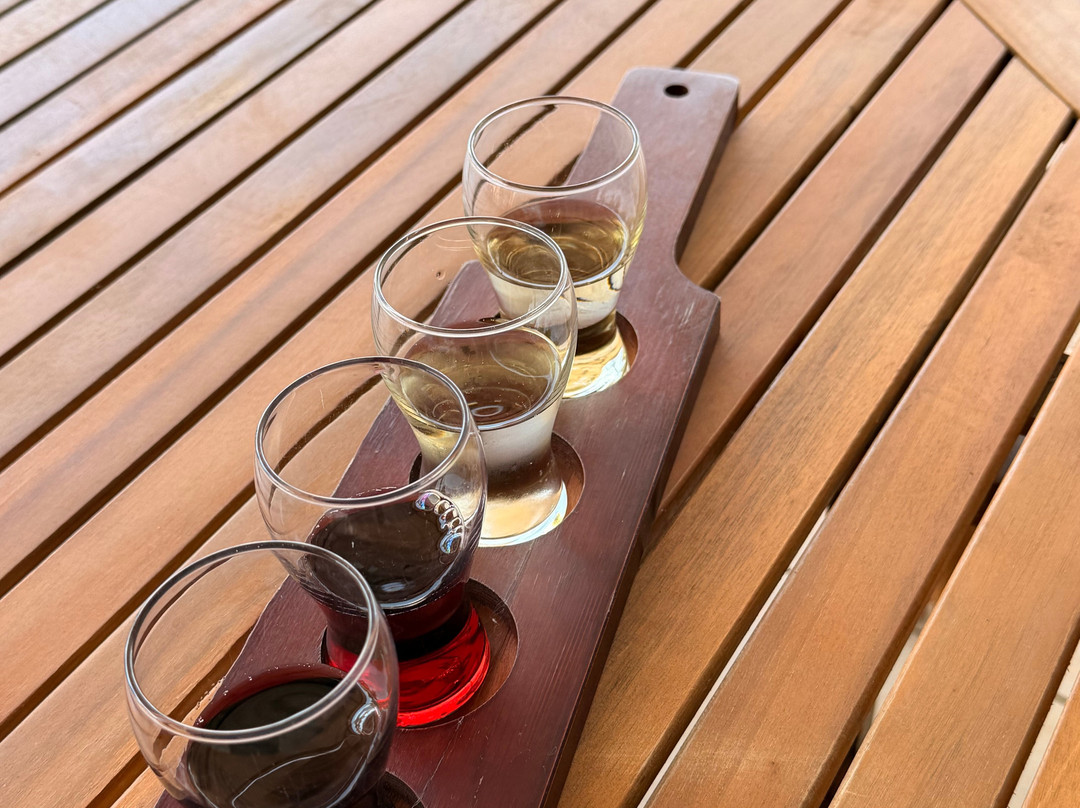 Grapetown Vineyard-弗雷德里克斯堡必去景点