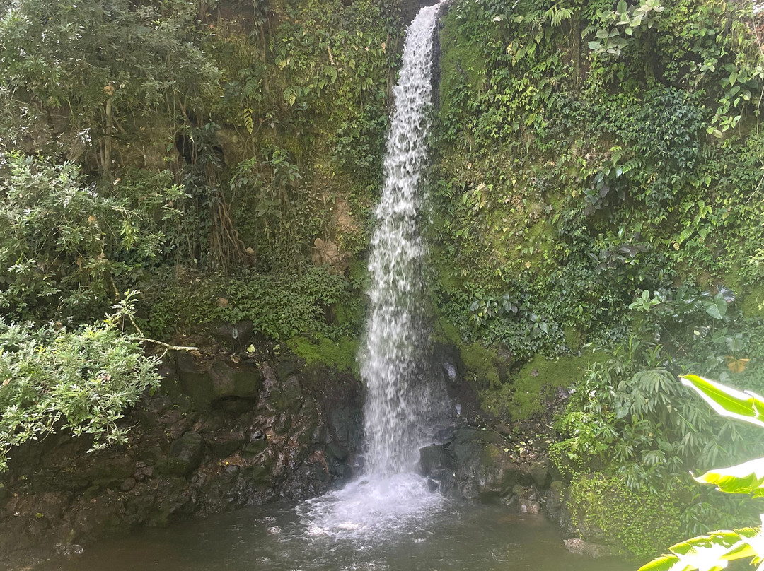 Manakin Waterfalls Nature Reserve.-Tilaran必去景点