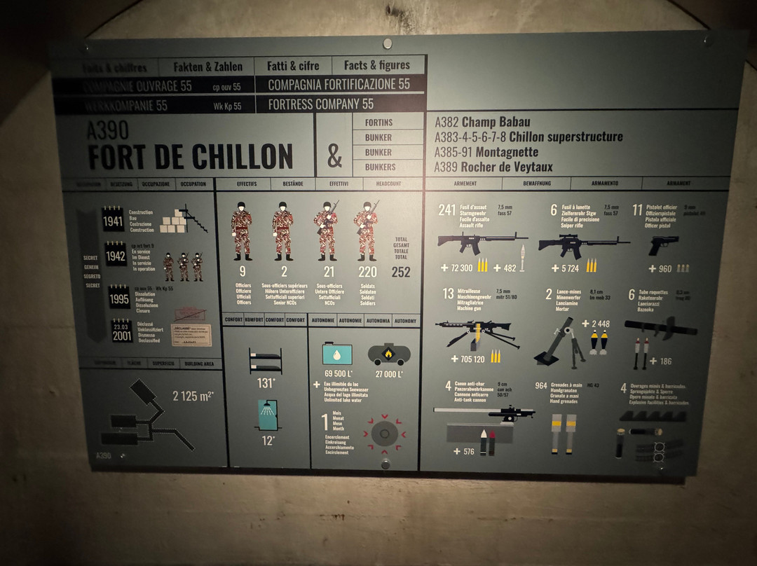 Fort De Chillon-维托必去景点