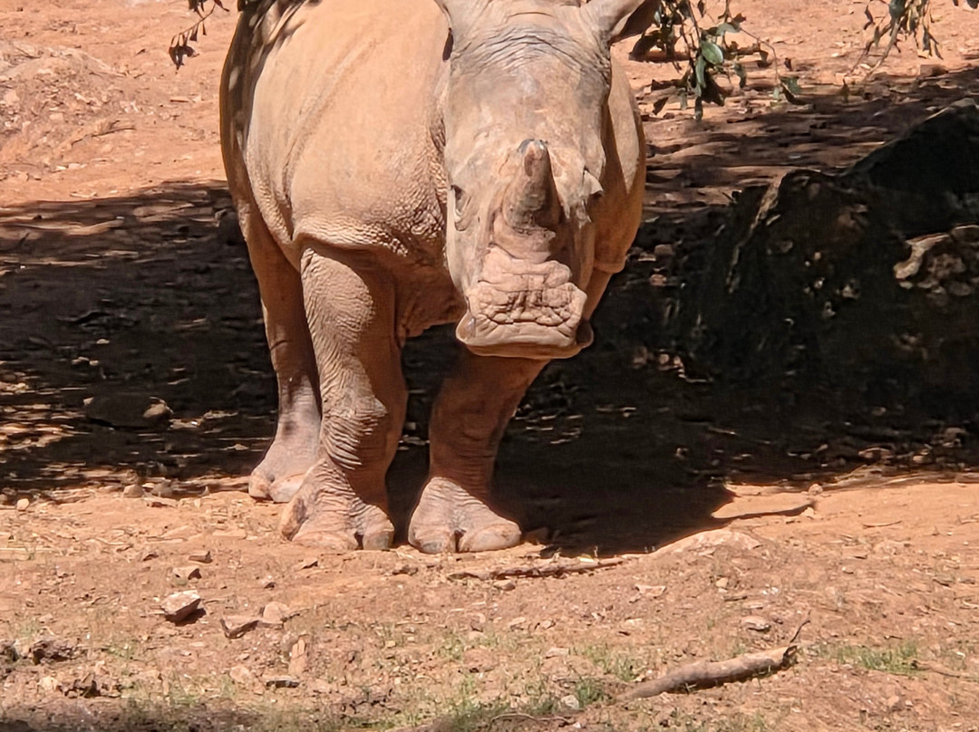 Paignton Zoo Environmental Park-佩恩顿必去景点