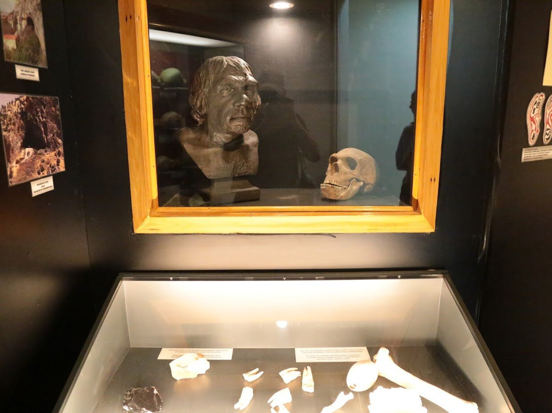 National Museum of Natural History-姆迪纳必去景点