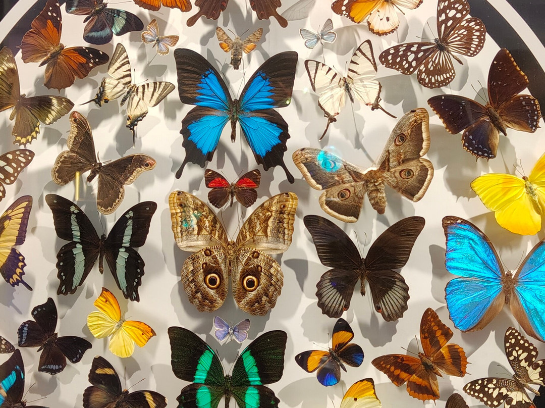 PHENOMENA - Interactive Museum of Science and Art-索非亚必去景点