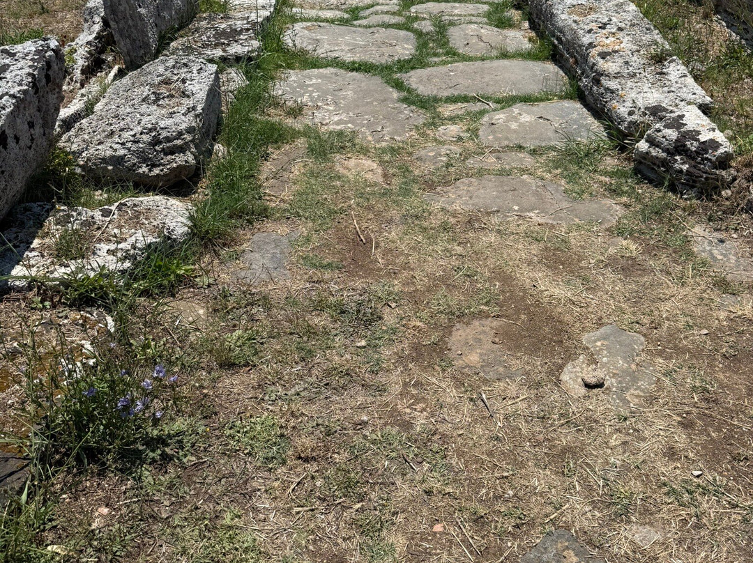 Parco Archeologico di Paestum e Velia-Paestum必去景点