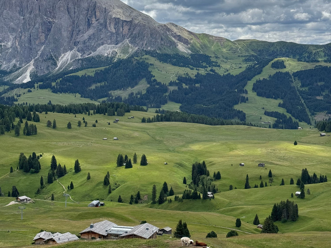 Alpe di Siusi-Alpe di Siusi必去景点