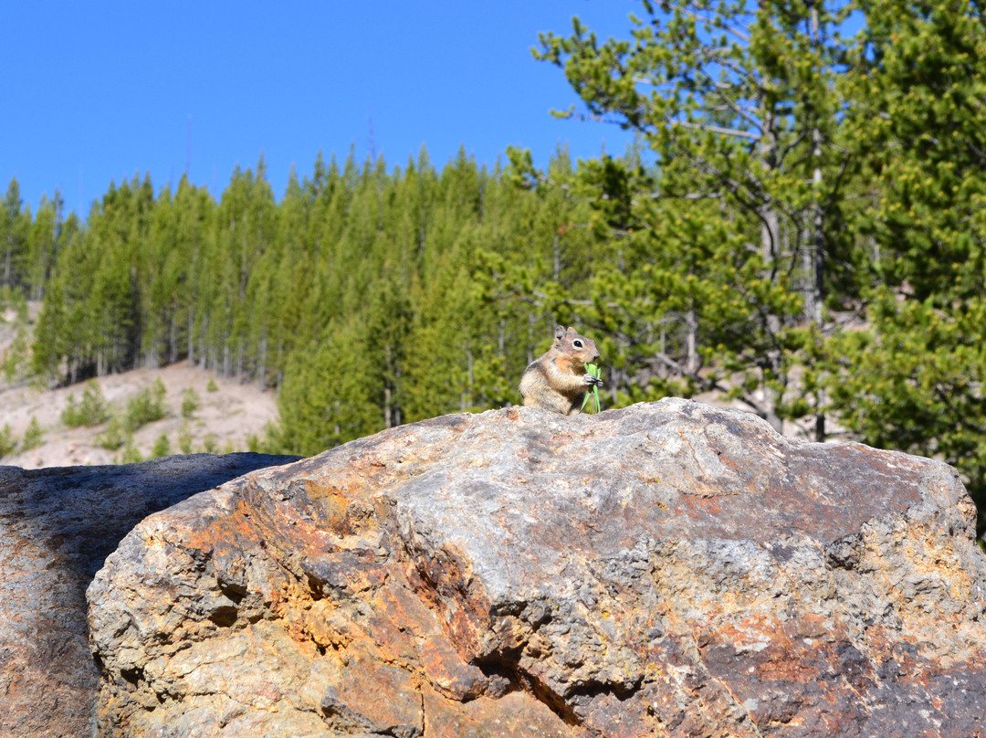 Yellowstone National Park-黄石国家公园必去景点