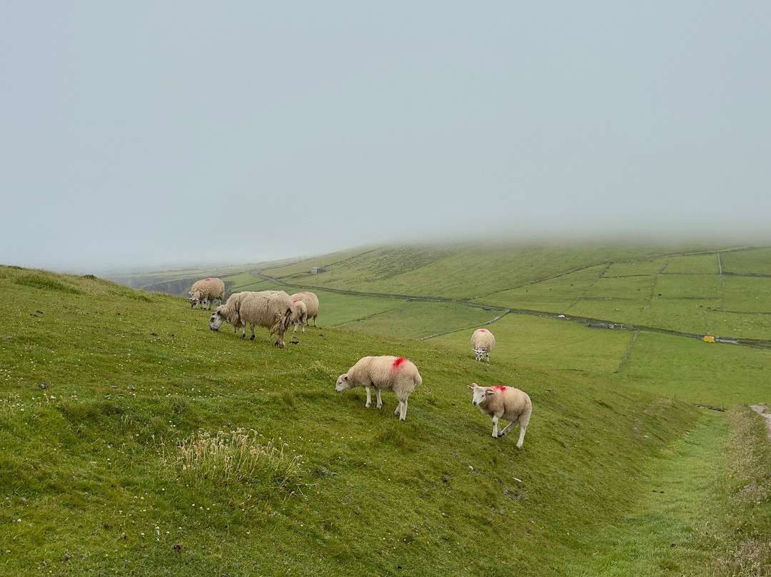 Luxury Irish Tours-戈尔韦必去景点