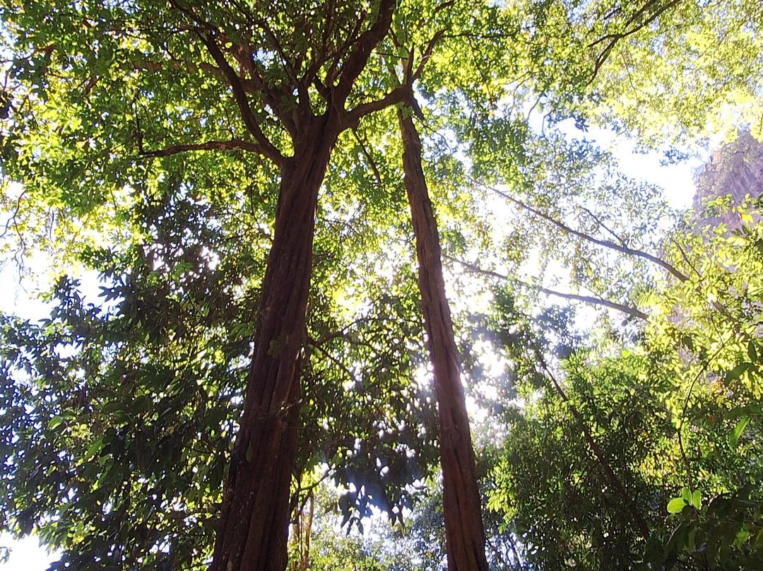 Caiaques e Trilhas Antonio-Barra do Garcas必去景点