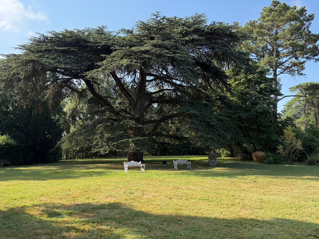 Château De Roquefoulet-Montgeard必去景点