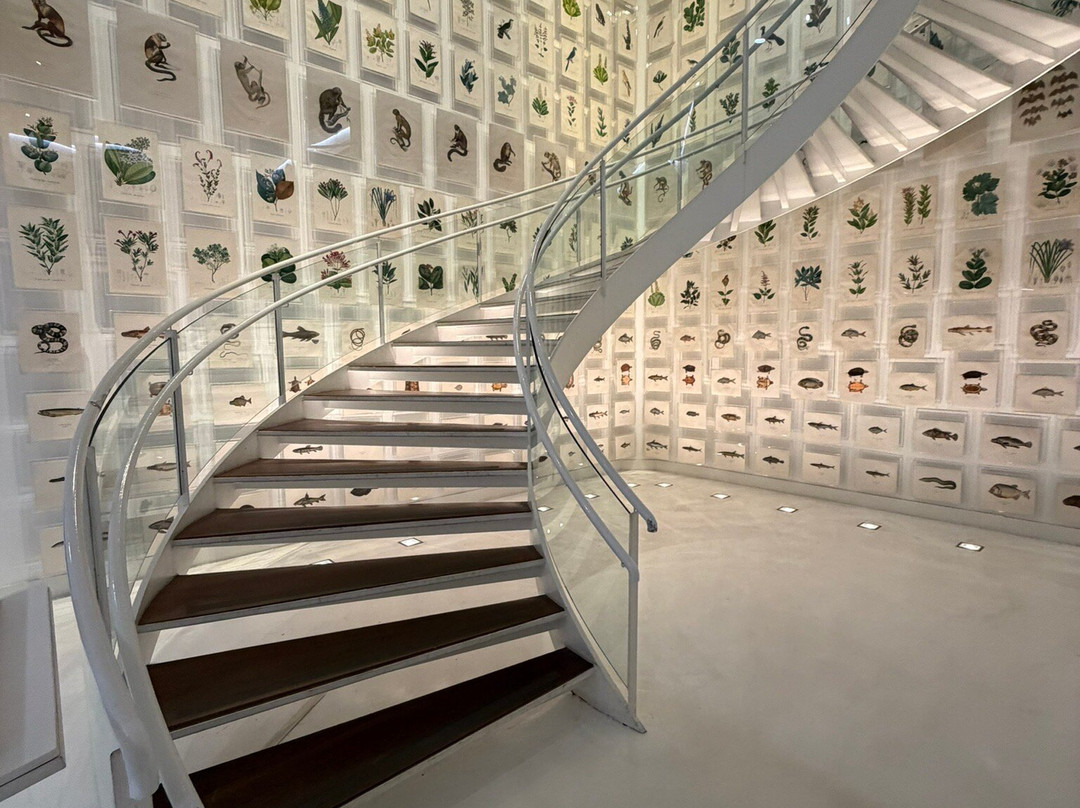 Itau Cultural Institute-圣保罗必去景点