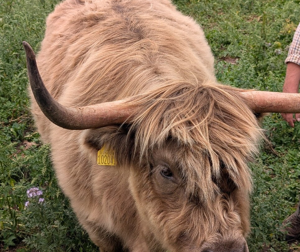 Dumble Farm Conservation-比弗利必去景点