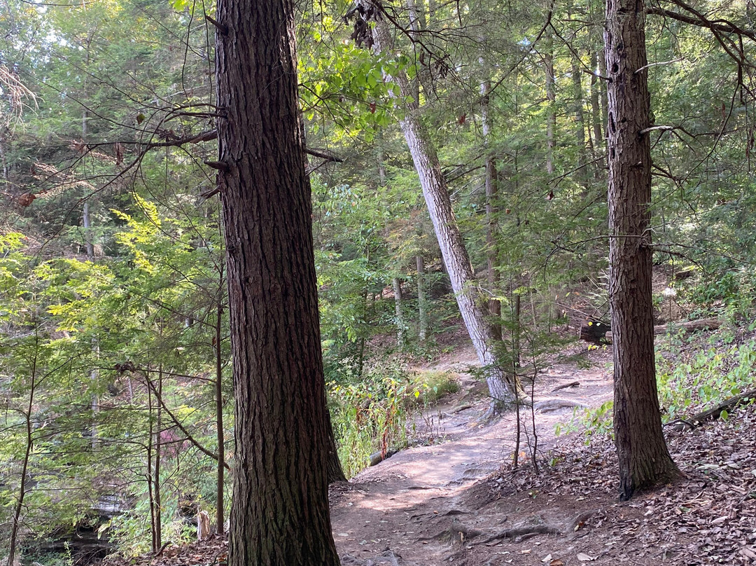 Conkles Hollow State Nature Preserve-Rockbridge必去景点