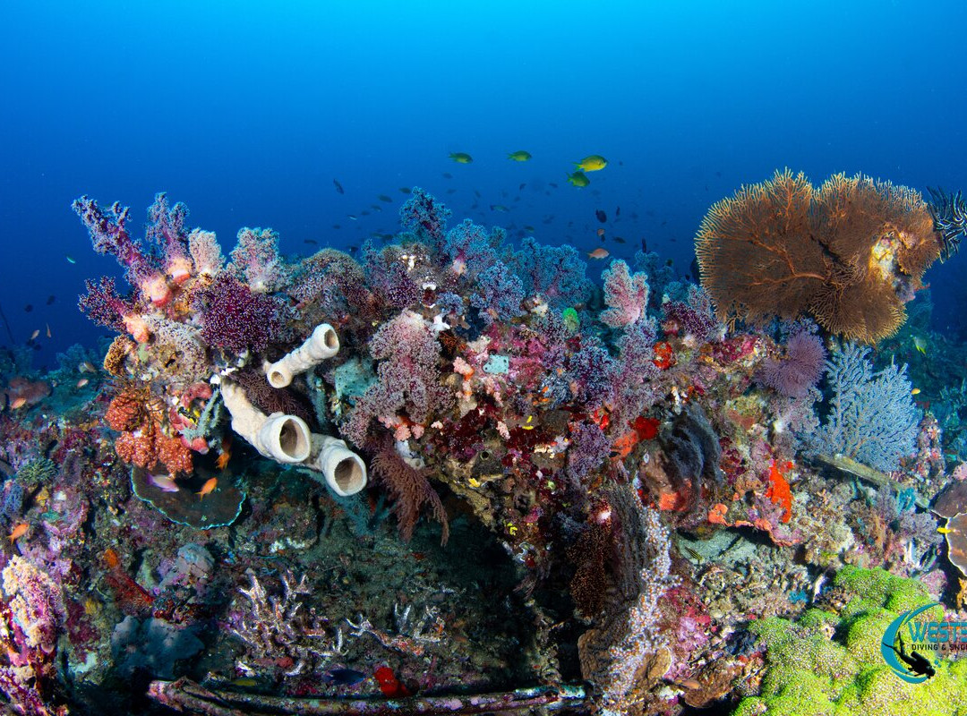 West Bali Diving And Snorkeling-Sumberkima必去景点