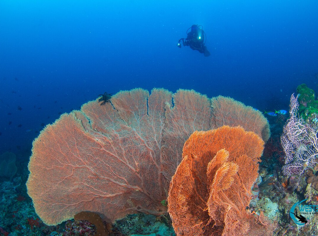 West Bali Diving And Snorkeling-Sumberkima必去景点