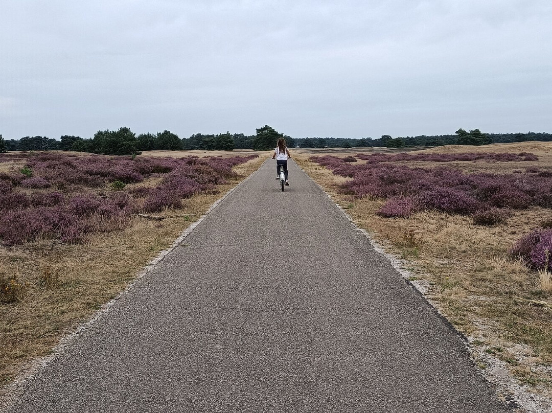 De Hoge Veluwe National Park-Gelderland Province必去景点