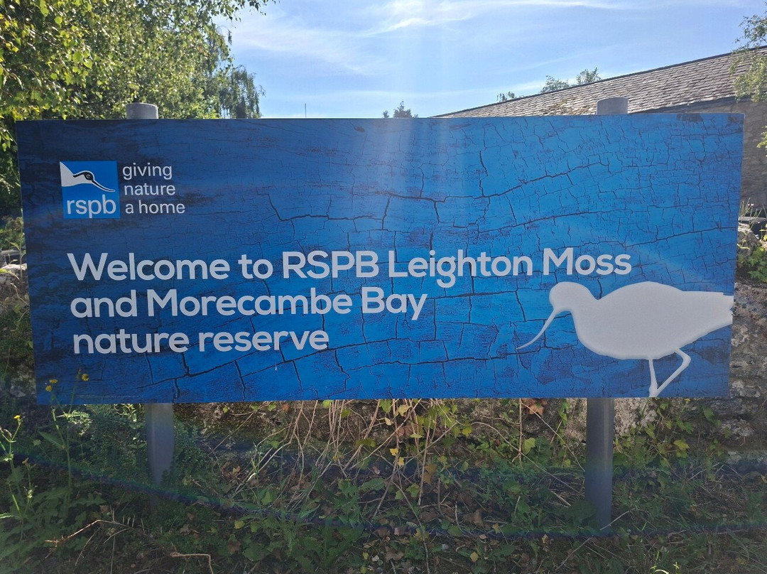 RSPB Leighton Moss Nature Reserve-Silverdale必去景点