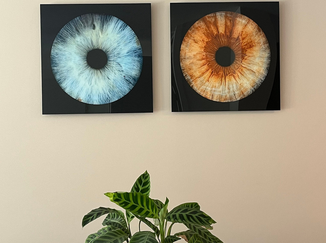 Iris Galerie Breda-布雷达必去景点