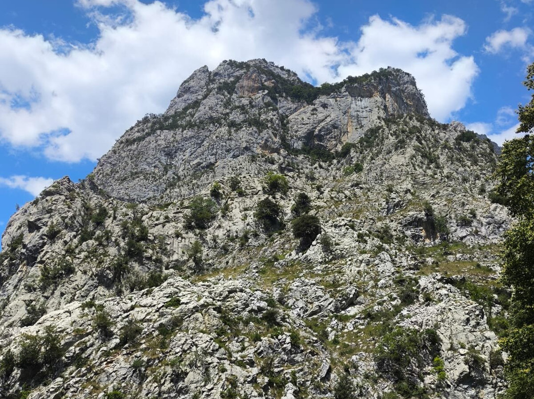 Canal del Texu-Cabrales Municipality必去景点