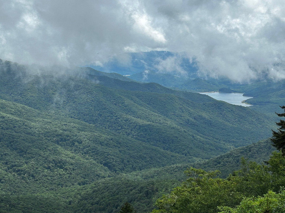 Mount Mitchell State Park-Burnsville必去景点