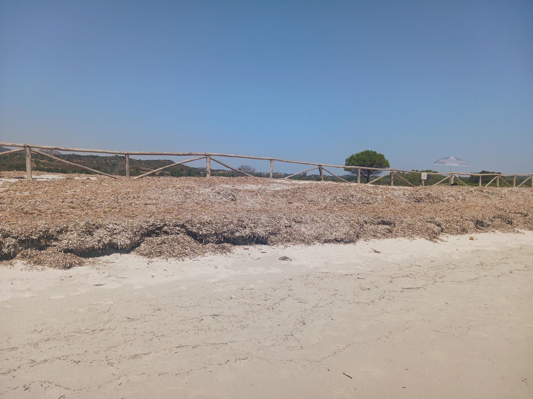 Spiaggia di Lu Impostu-San Teodoro必去景点