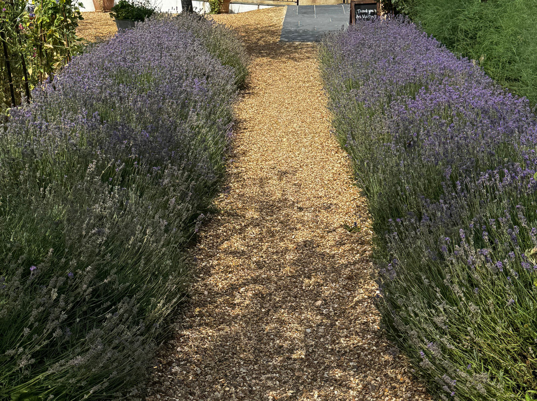 Houghton Lodge Gardens-Houghton必去景点