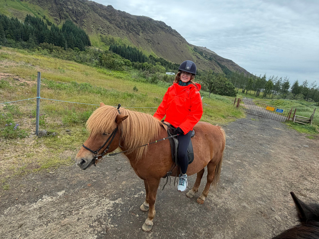 Eldhestar Volcano Horses-Olfus必去景点