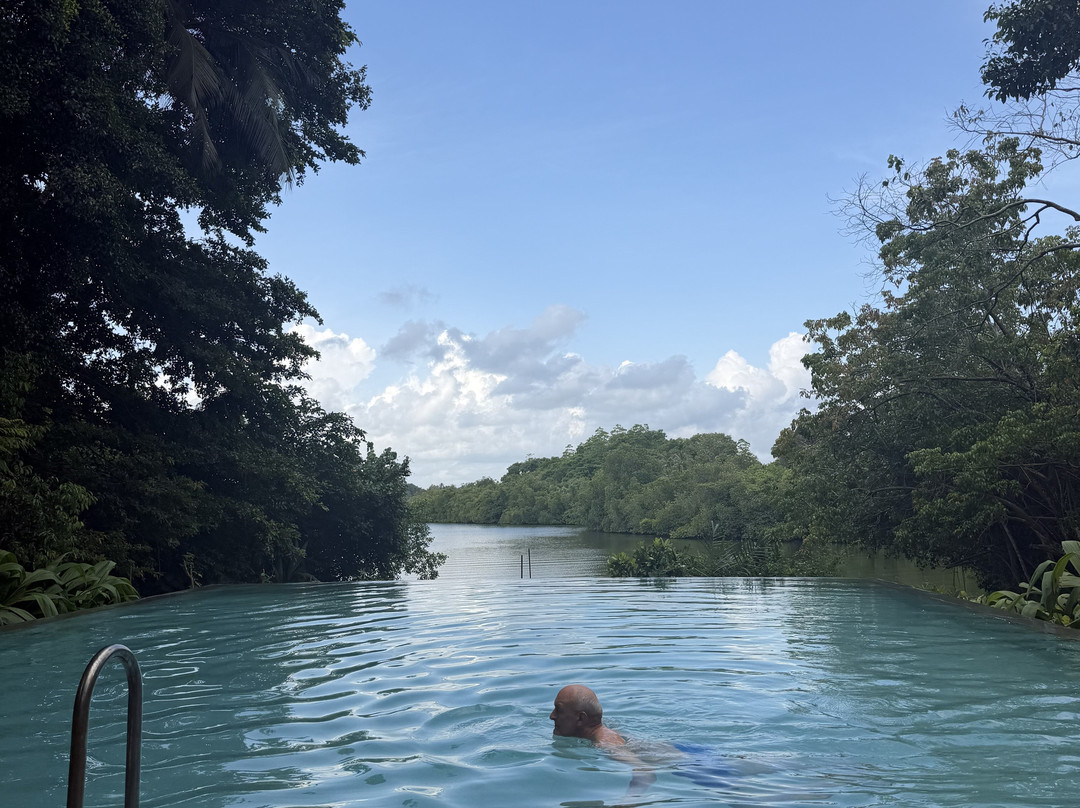 Roman Lake Ayurveda Resort主图