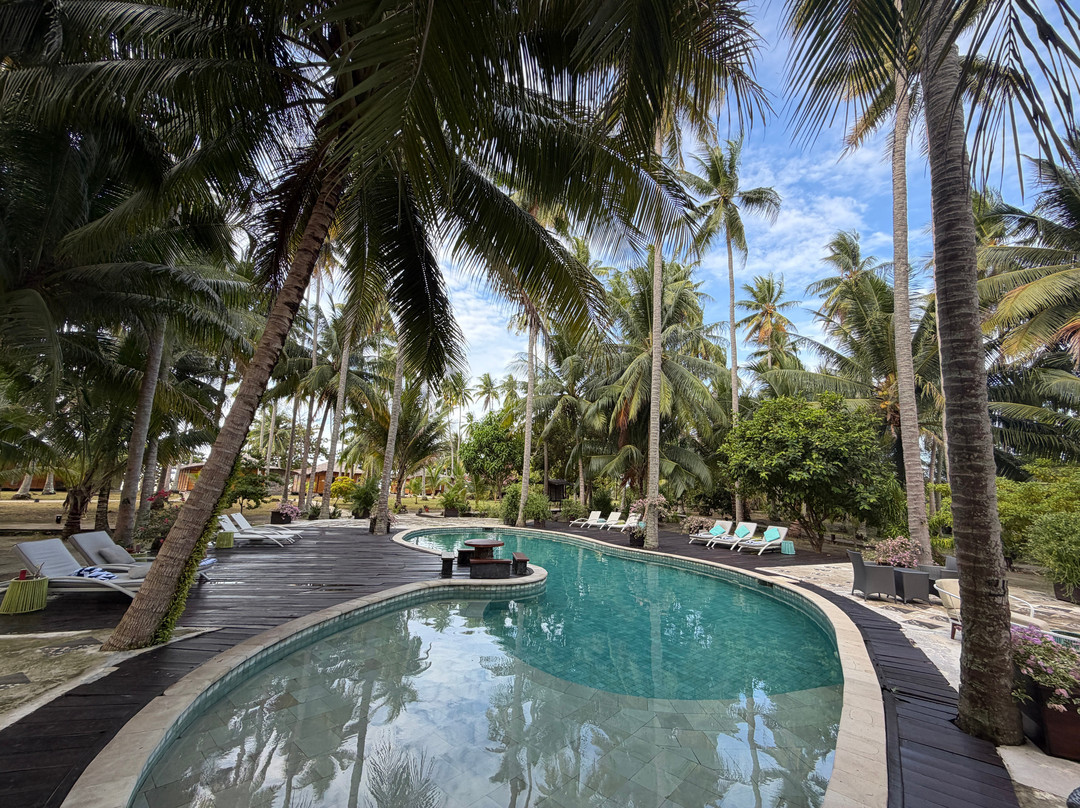 Virgin Cocoa - Tropical Hideaway Island主图