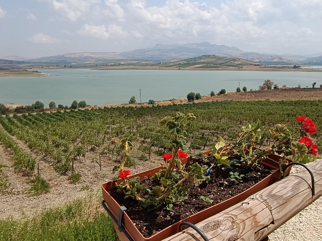 Cantina Di Prima-Sambuca di Sicilia必去景点