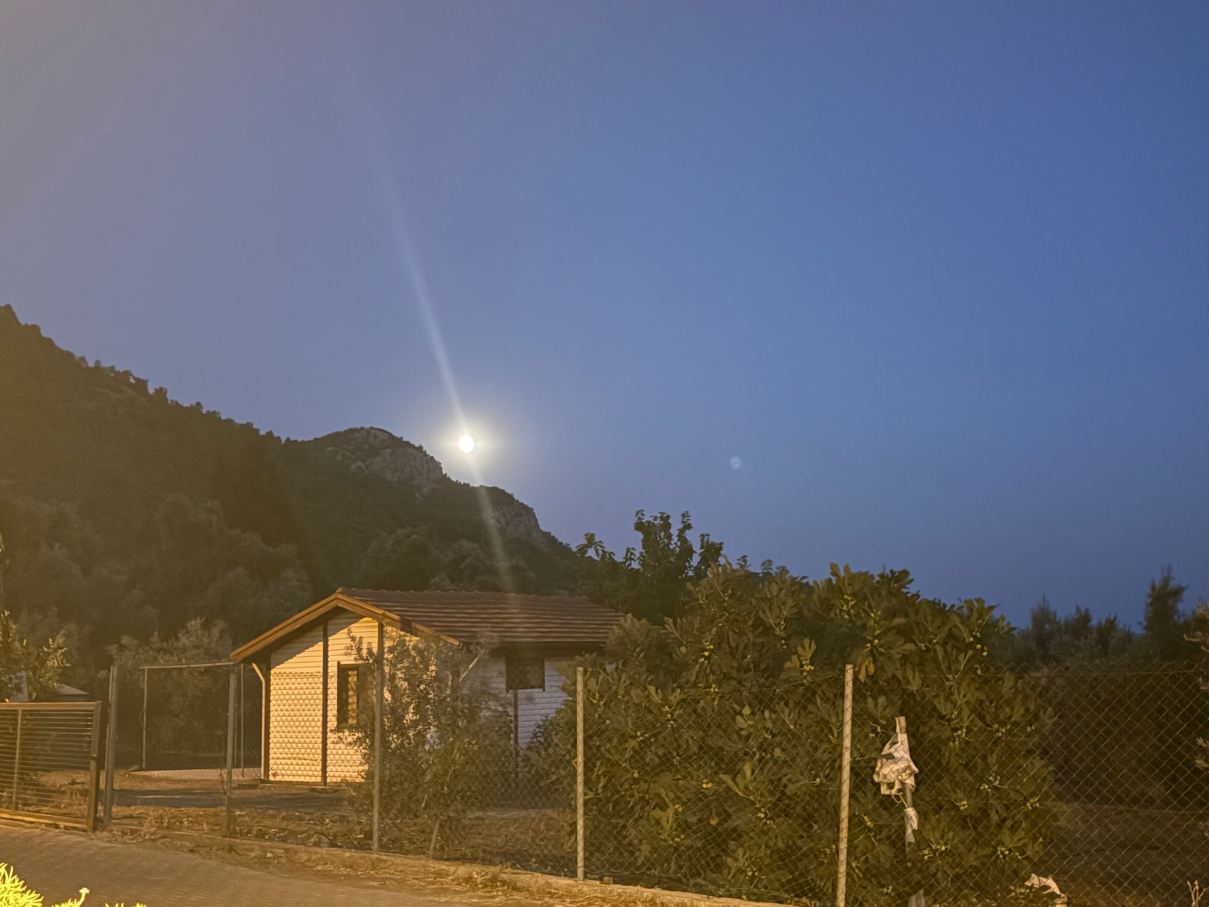 Olive Tree Apart Hotel-旅行者