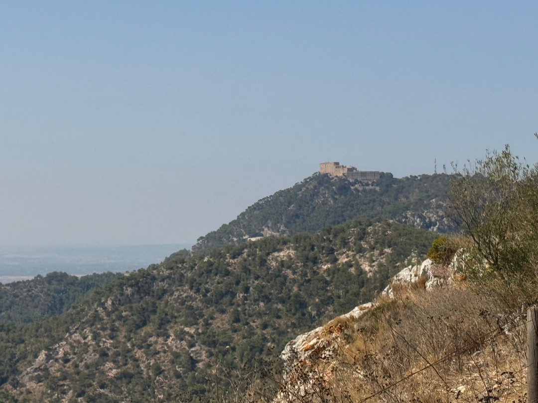Castell de Santueri-Felanitx必去景点