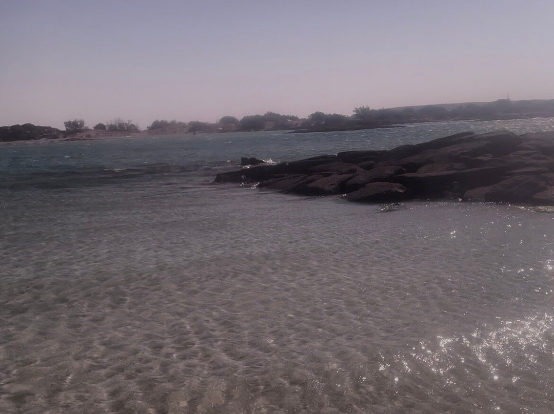 Elafonissi Beach-拉格尼西必去景点