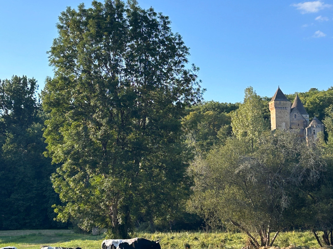 Chateau de Commarque-Les Eyzies-de-Tayac-Sireuil必去景点