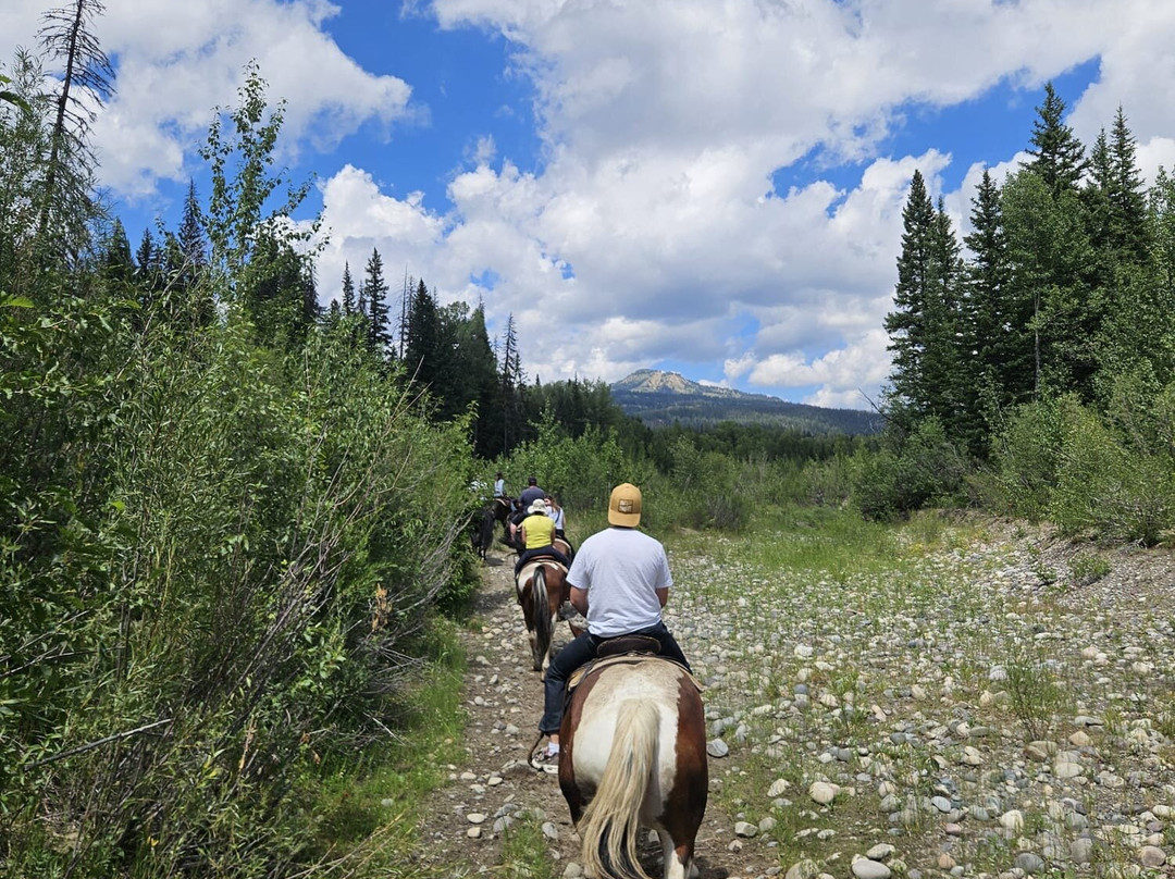 Swift Creek Outfitters & Teton Horseback Adventures-莫兰必去景点