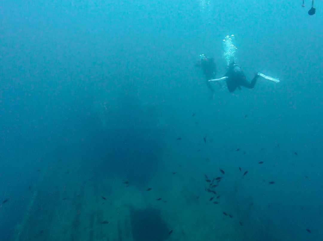 Atlantis Diving Center-Marsalforn必去景点