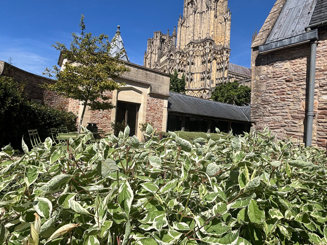 Wells Cathedral-韦尔斯必去景点