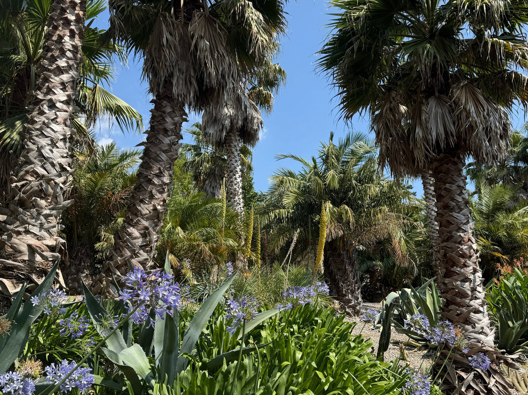 Ventnor Botanic Garden-文特诺必去景点