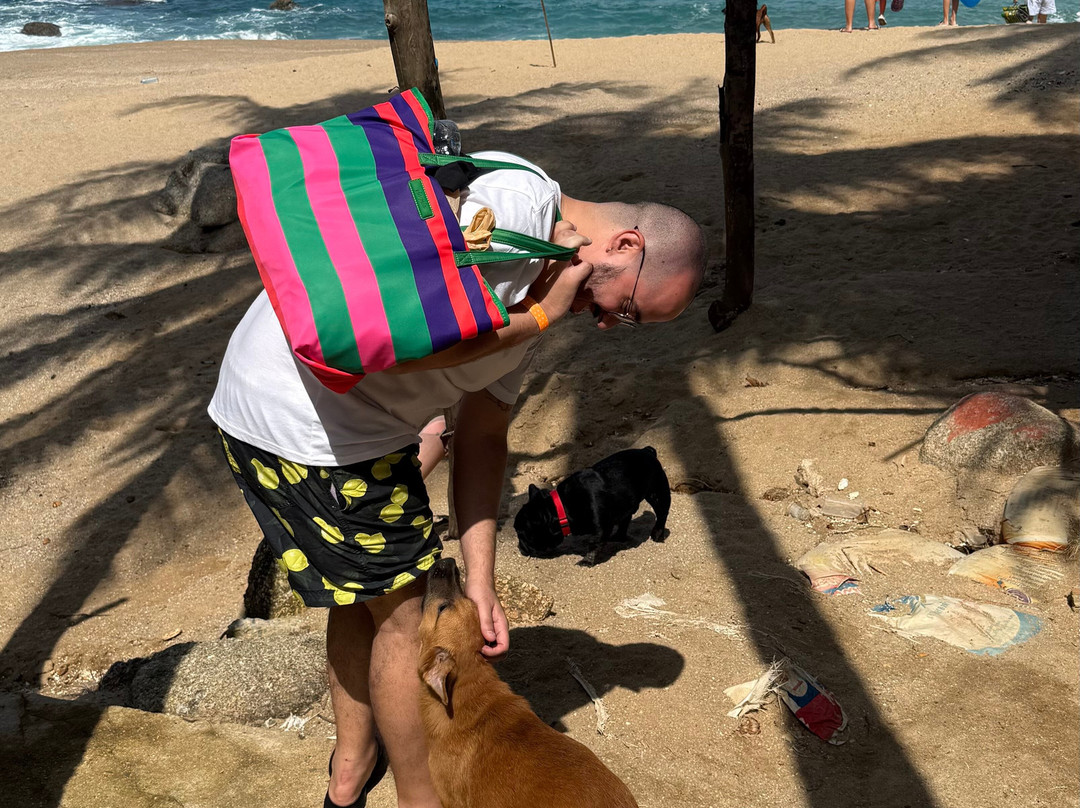 Nui Beach Phuket-卡伦必去景点