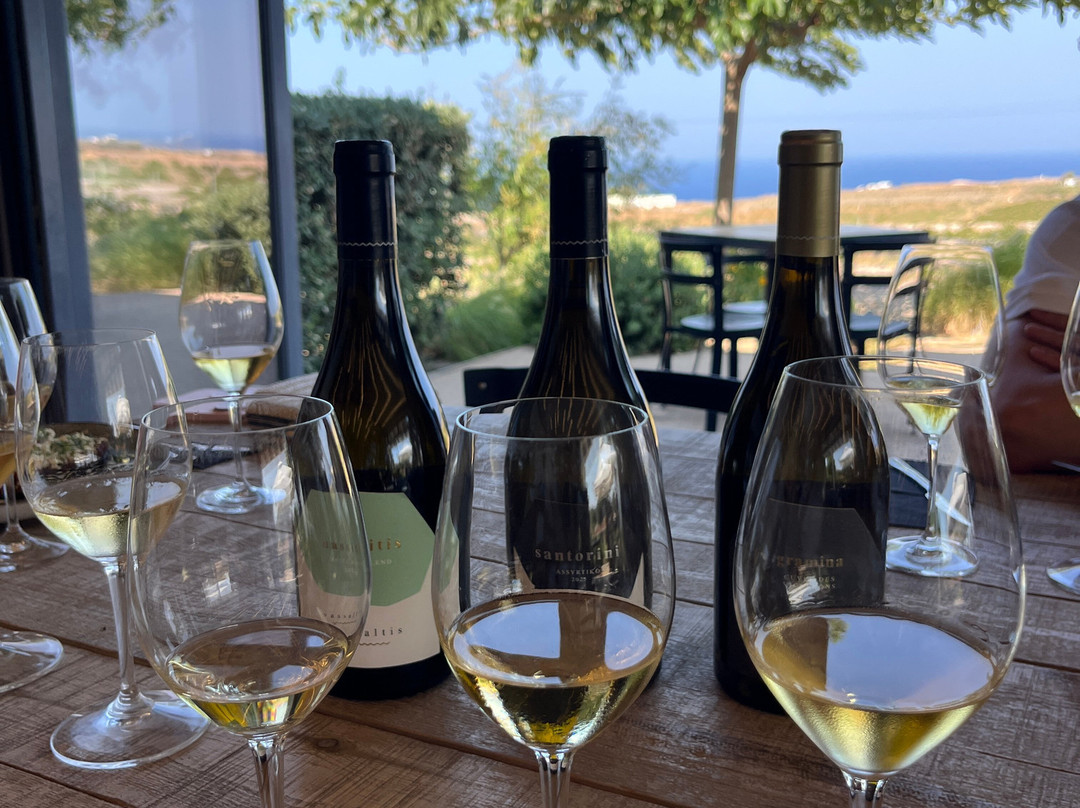Vassaltis Vineyards-Vourvoulos必去景点