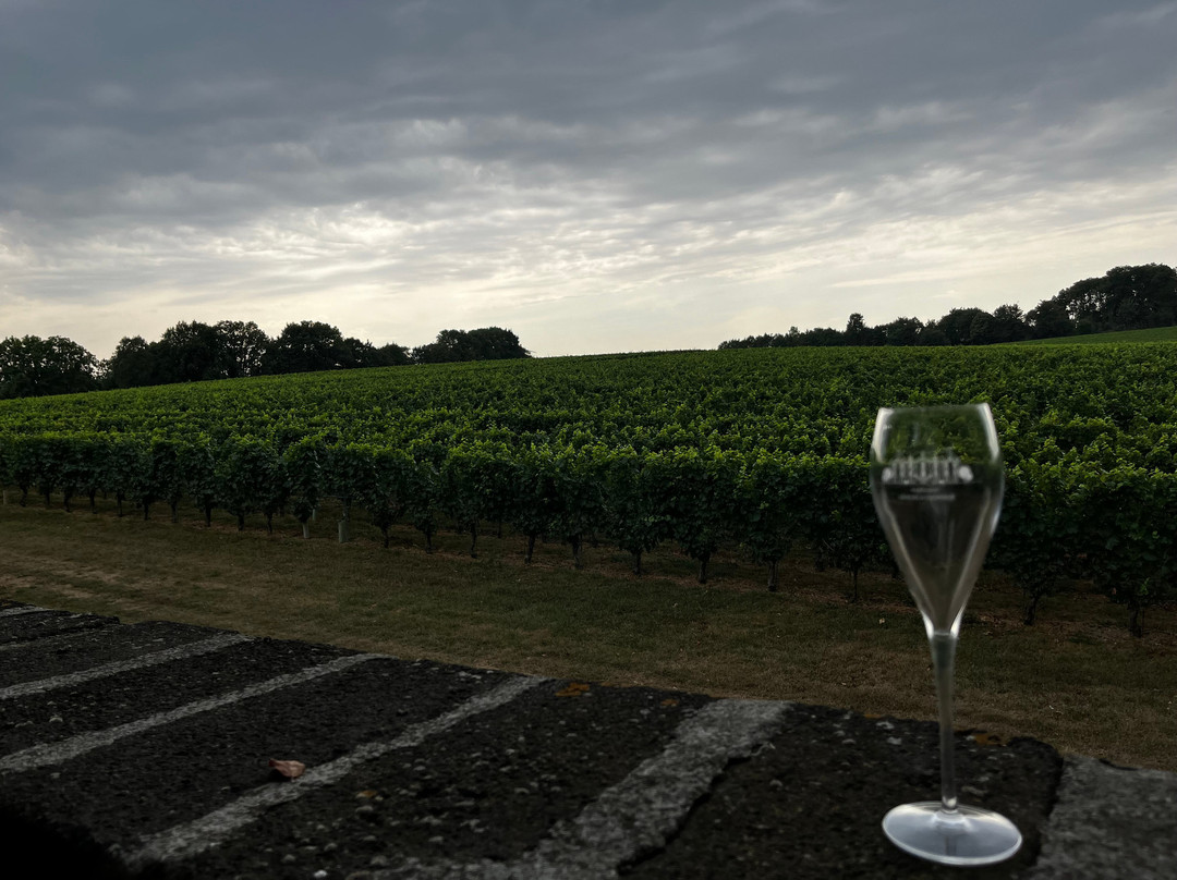 Genoels-Elderen Wine Castle-Riemst必去景点