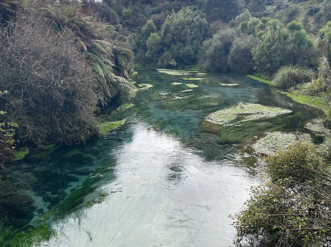 Blue Spring-普塔鲁鲁必去景点