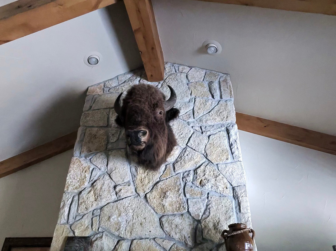 Wildcatter Ranch主图