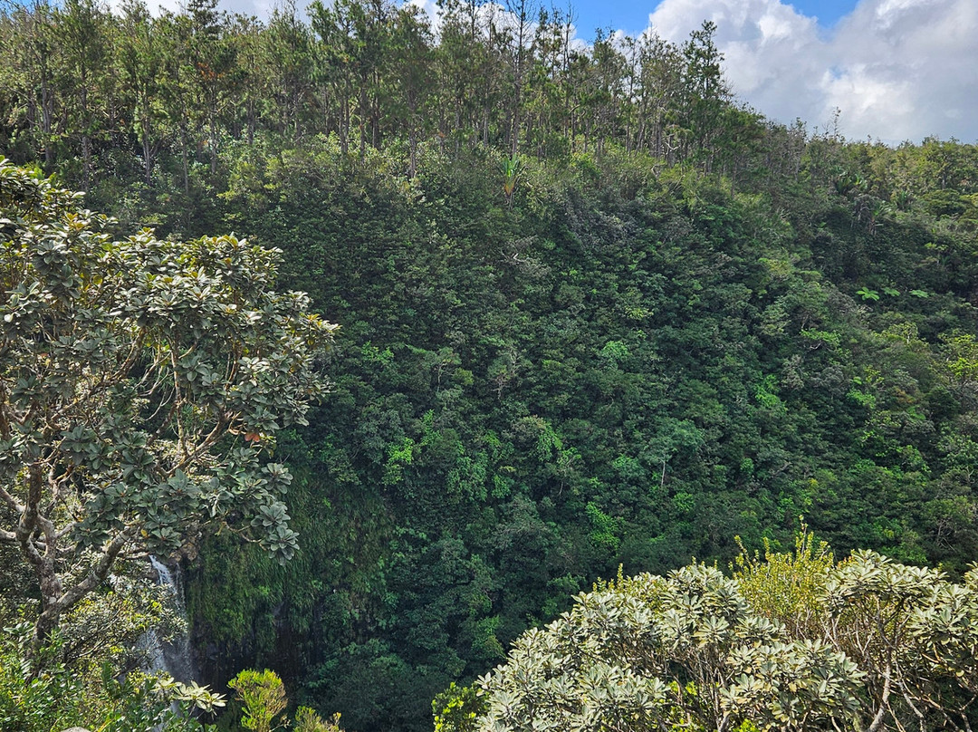 Alexandra Falls-Union Park必去景点