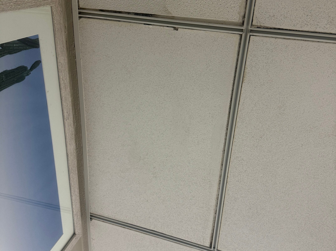 梦想库拉索度假酒店/水疗中心及娱乐场 - 全包式主图